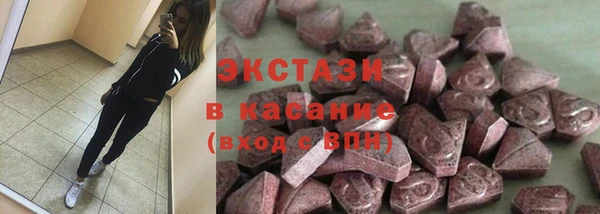 ГАЛЛЮЦИНОГЕННЫЕ ГРИБЫ Горно-Алтайск