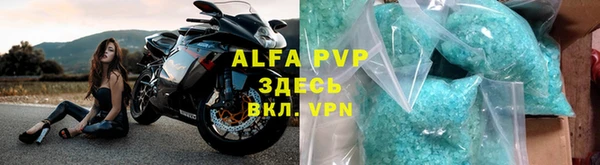 ГАЛЛЮЦИНОГЕННЫЕ ГРИБЫ Горно-Алтайск