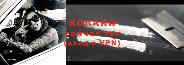 ГАЛЛЮЦИНОГЕННЫЕ ГРИБЫ Горно-Алтайск
