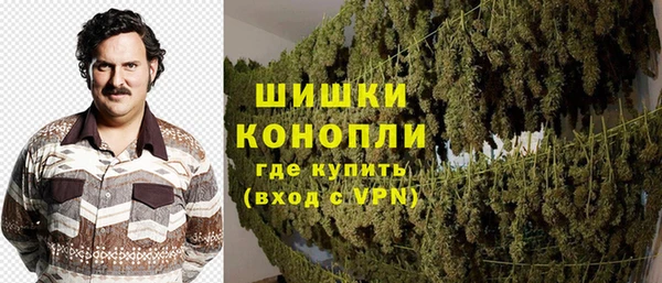 ГАЛЛЮЦИНОГЕННЫЕ ГРИБЫ Горно-Алтайск